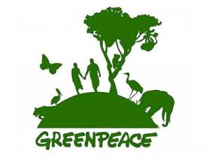 «Гринпис» просит чиновников отказаться от биоразлагаемых и бумажных товаров и упаковки
